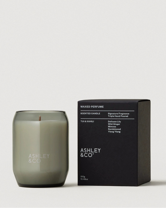 Ashley and Co Waxed Perfume Candle in the Tui and Kahili scent and its presentation box on a white background