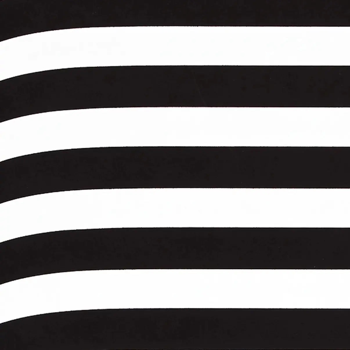 Close up of the black and white stripe of the books cover.