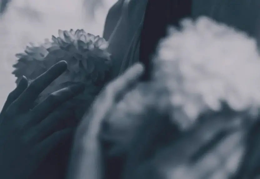 A Love Letter to Beautiful Things