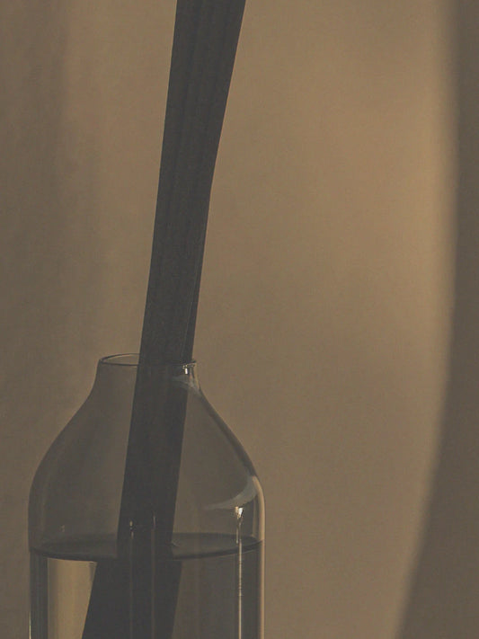 Ashley & Co Parakeets & Pearls Home Perfume Reed Diffuser in a monotone sepia image creating a relaxing mood