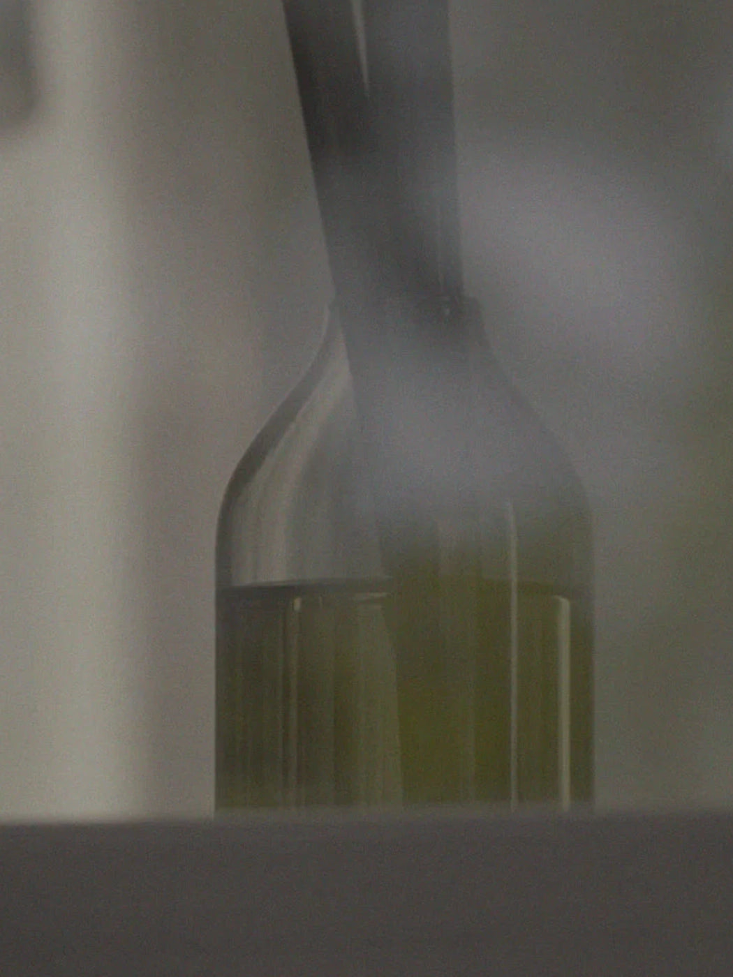 Ashley & Co Parakeets & Pearls Home Perfume Reed Diffuser photographed from a distance in a moody room