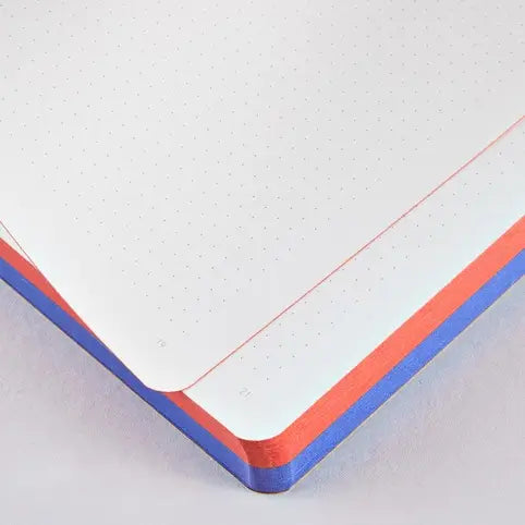 View of the pages inside the Nuuna Yes/No notebook with dot grid on the pages and red and blue on the page edges.
