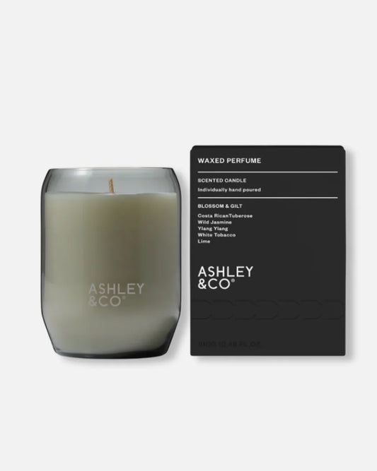 Ashley & Co Blossom & Gilt waxed perfume candle 310g beside its black gift box, scent notes tuberose, wild jasmine, ylang ylang, white tobacco and lime