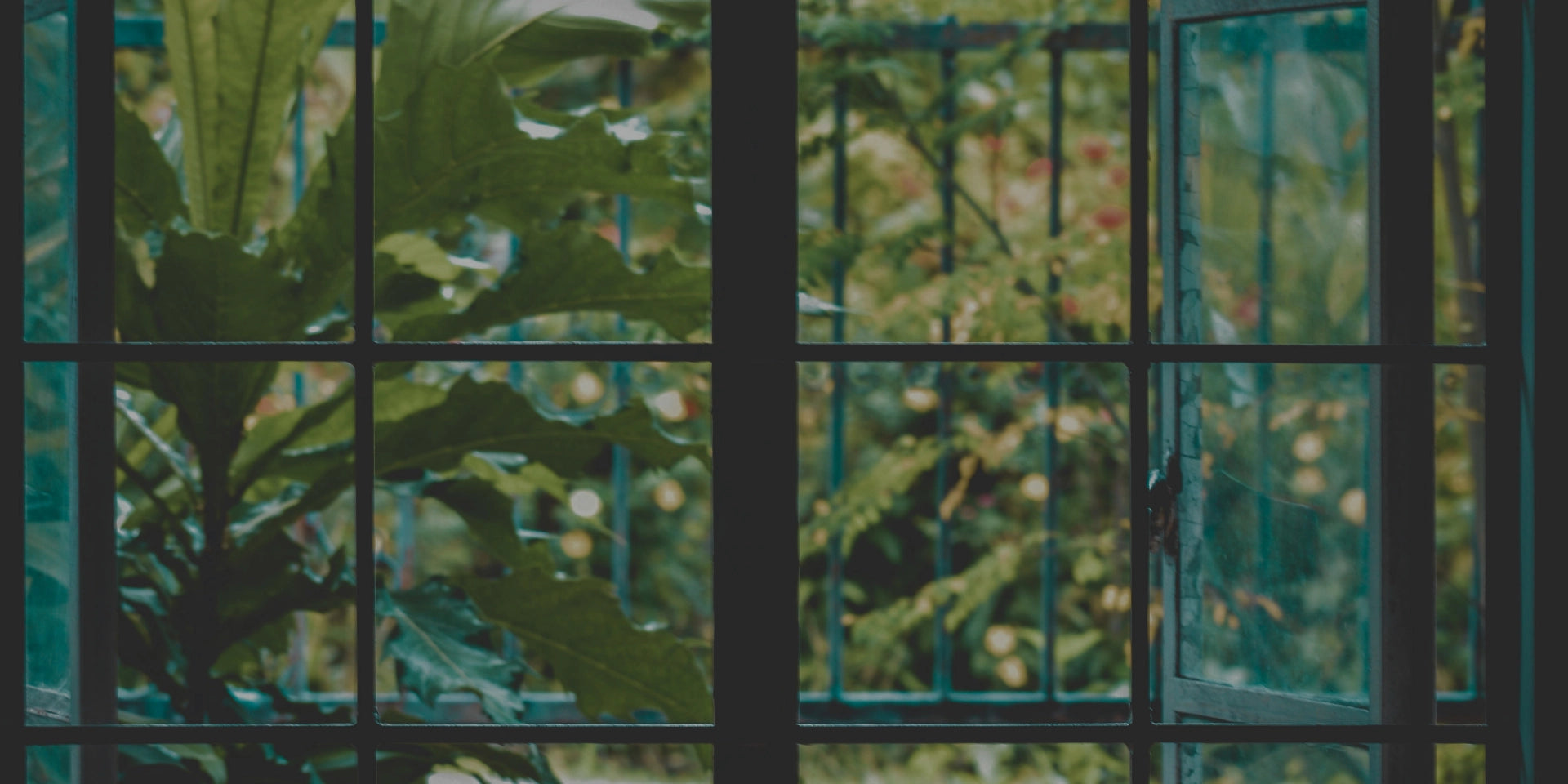 Window view of green foliage creating a moo that can be created with the right collection of scents.